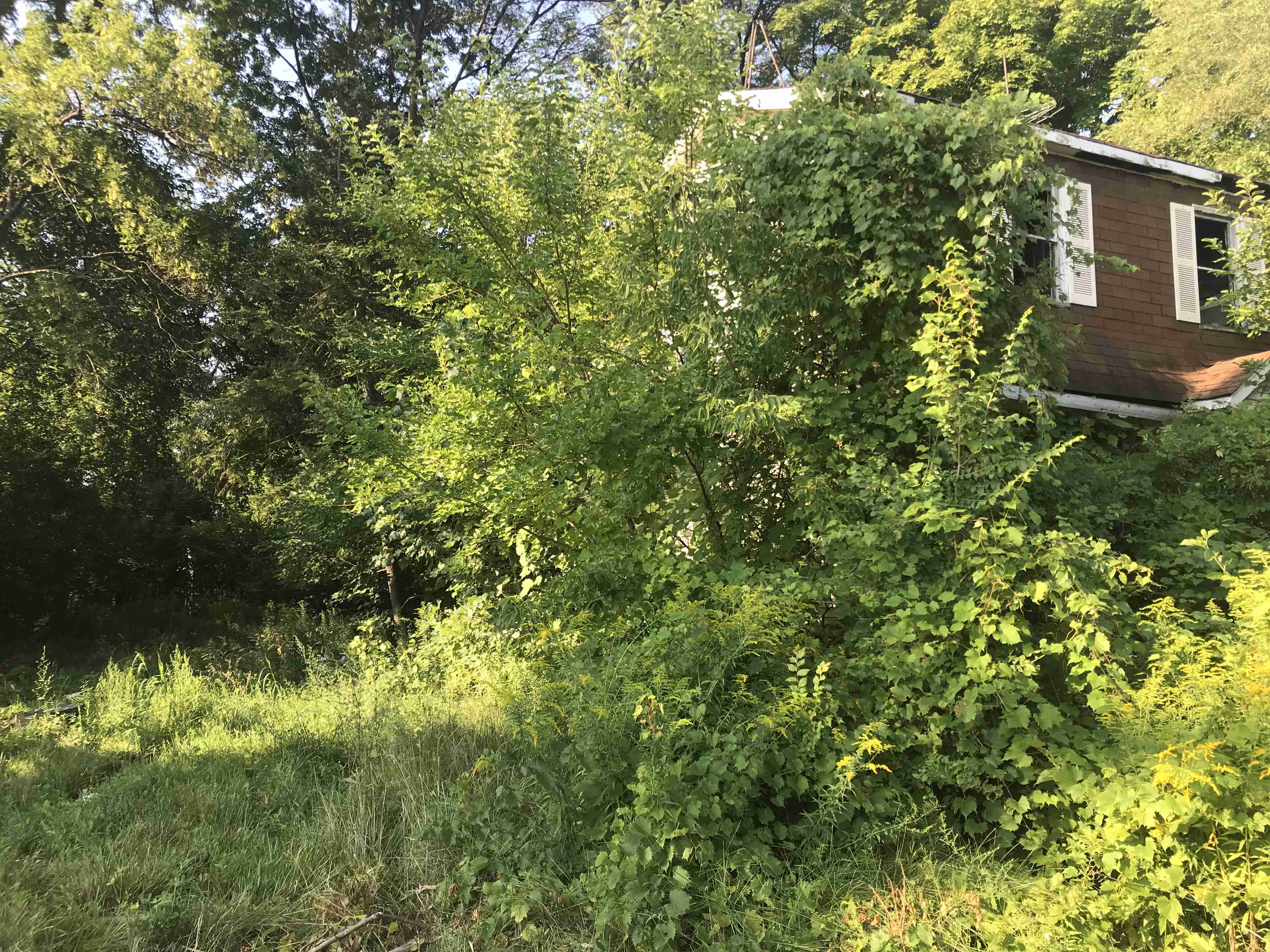 Photo Aug 24, 9 15 12 AM.jpg